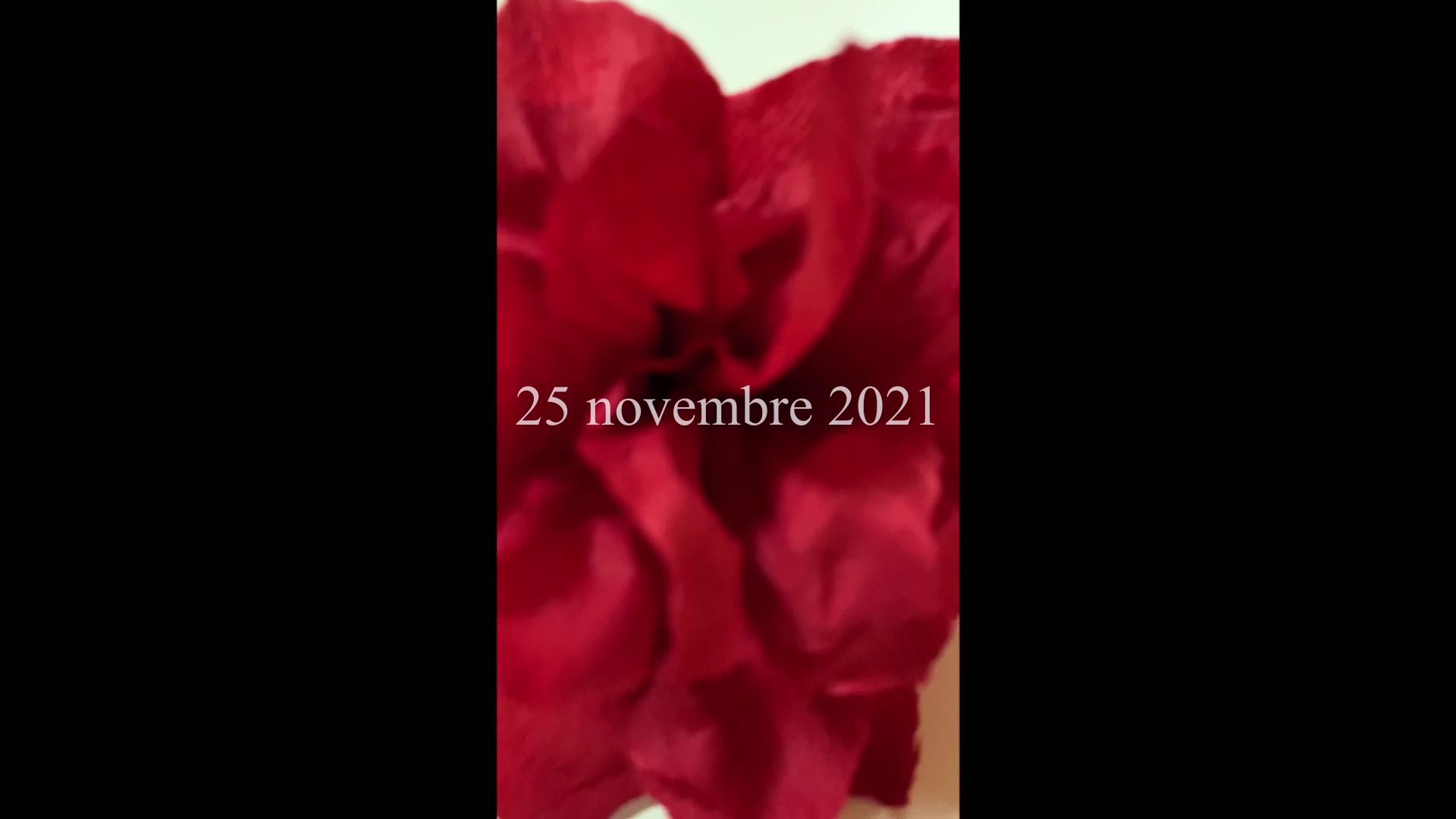 25 11 21 PRIME SECONDE COPERTINA