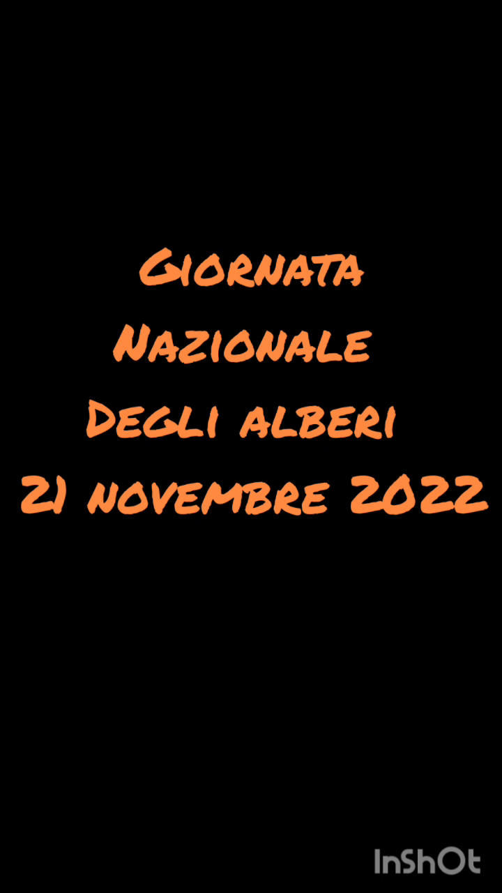 vlcsnap-2022-12-15-09h35m59s080.png